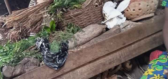 yoruba traditonal medicine elewe omo, alagbo omo